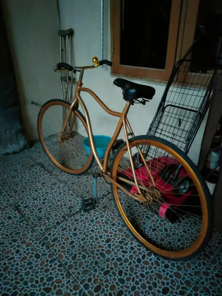 Sepeda fixi clasic