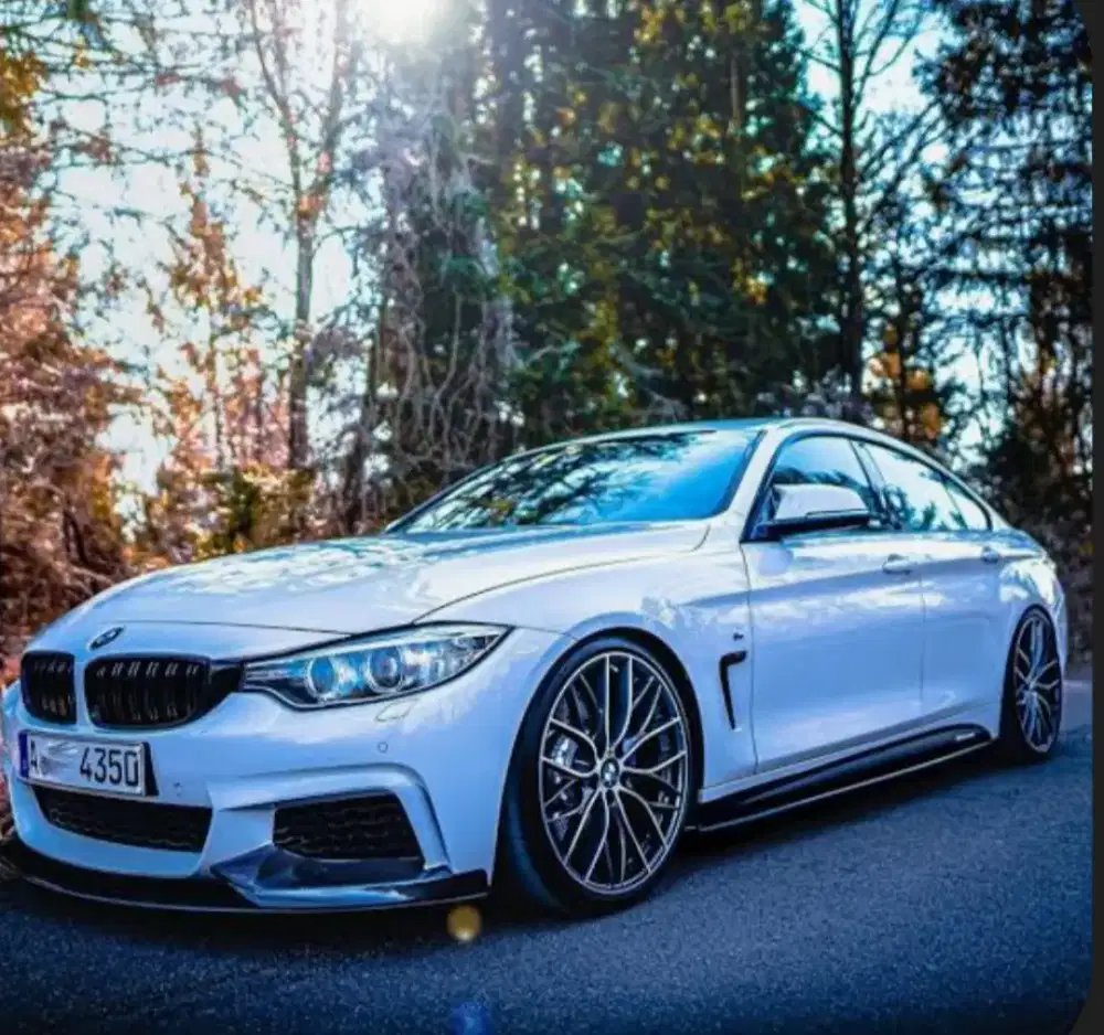Velg BMW F30 R20 Ban Pirreli