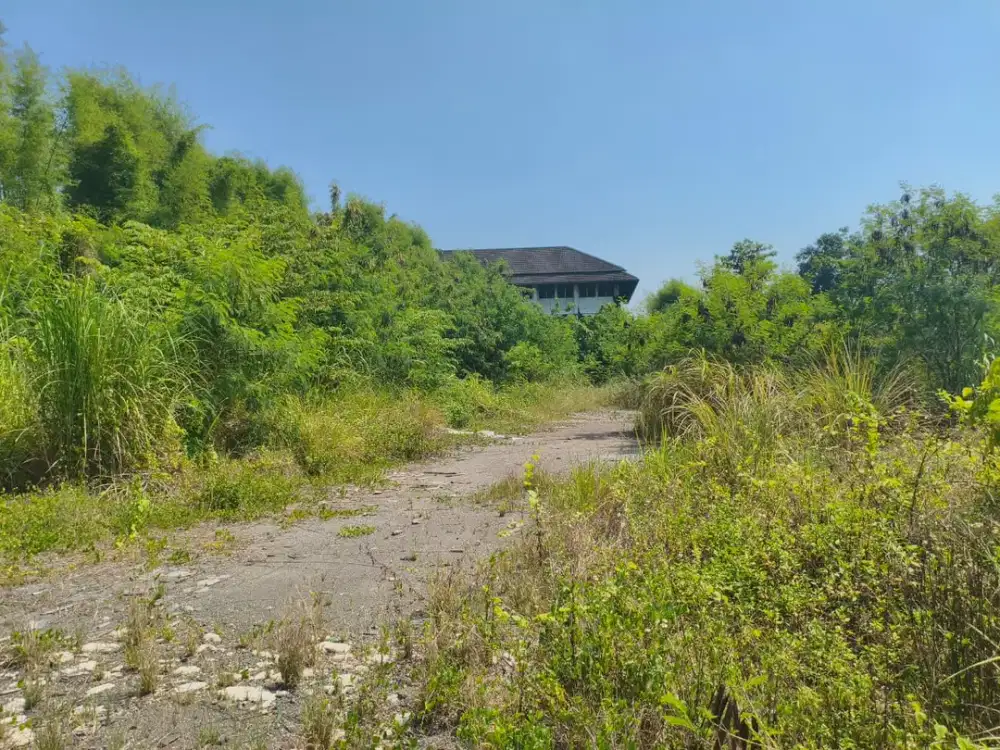 Tanah dijual, Jalan Raya Sarwo Edi Wibowo, Semarang Timur, LT 219871, Cocok untuk Gudang dan Pabrik
