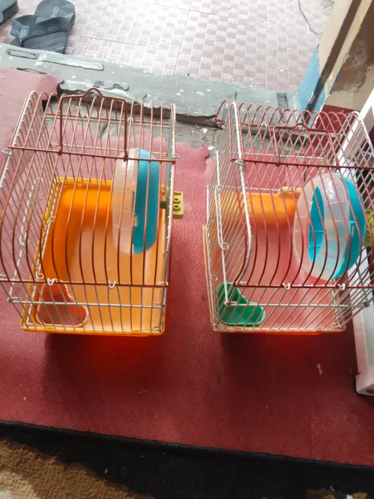Di jual kandang marmut kondisi masih mulus pemakaian sndiri