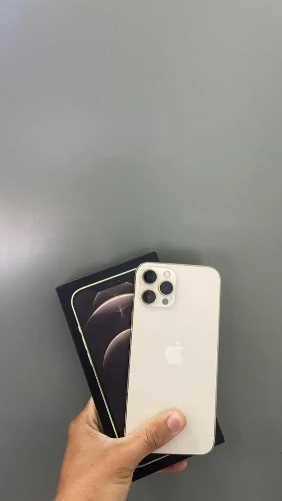 Iphone 12 Promax 128 inter Gold