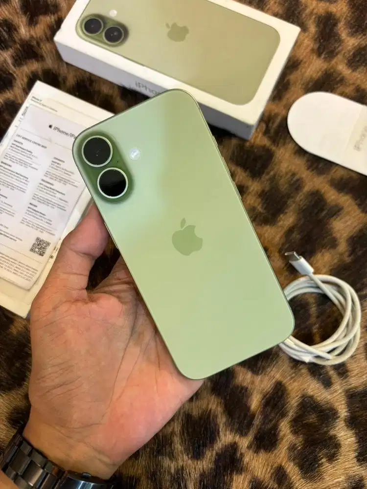 iPhone 17 256GB BH100 Resmi (Sage)