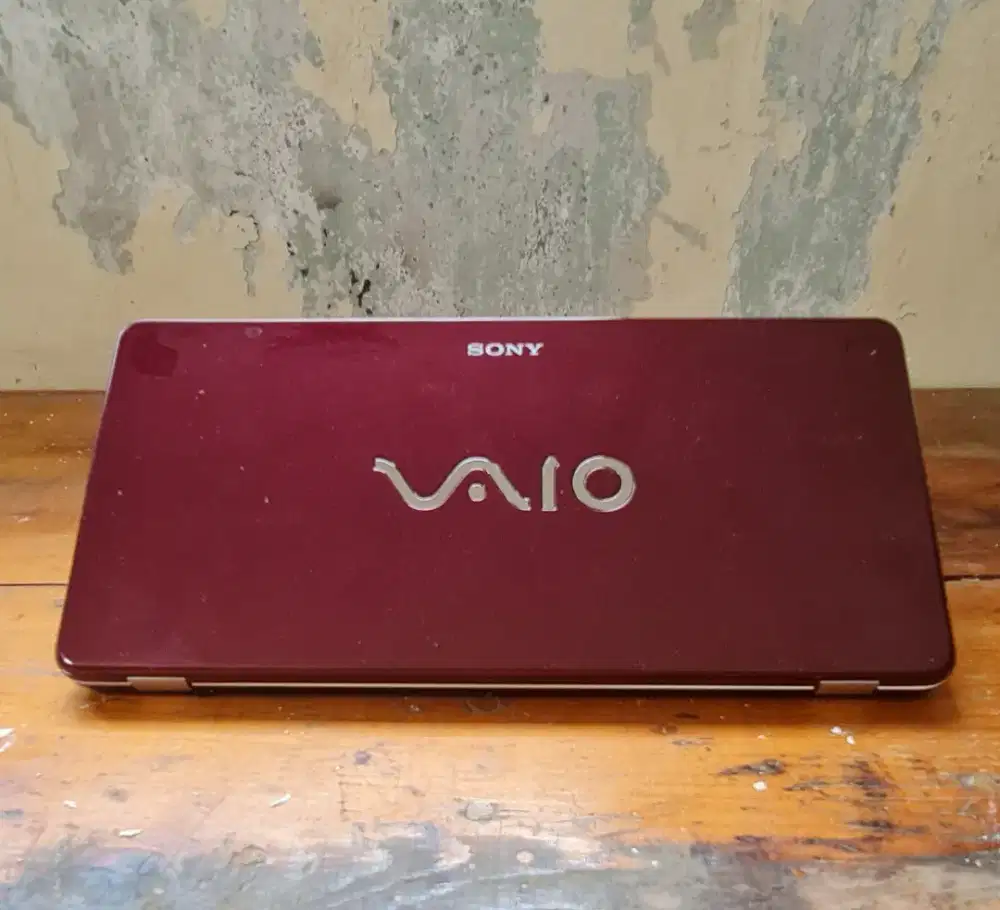 Sony Vaio VGN -P15G