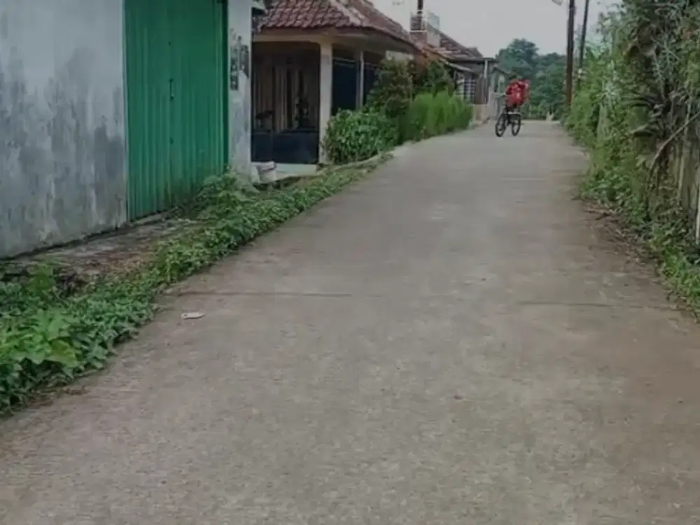 Tanah Kebun Di Jual Dekat Kampus IPB Cocok Kebun, Rumah, Kosan