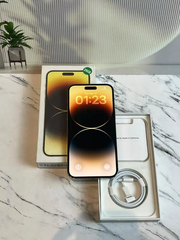ip 14 pro max 256 gold