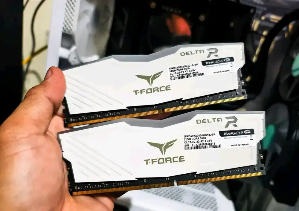 ram team delta t force