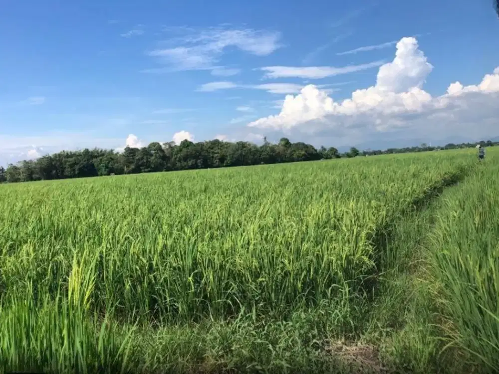 Dijual Tanah sekitar Jalan Poros Bontonompo, Gowa