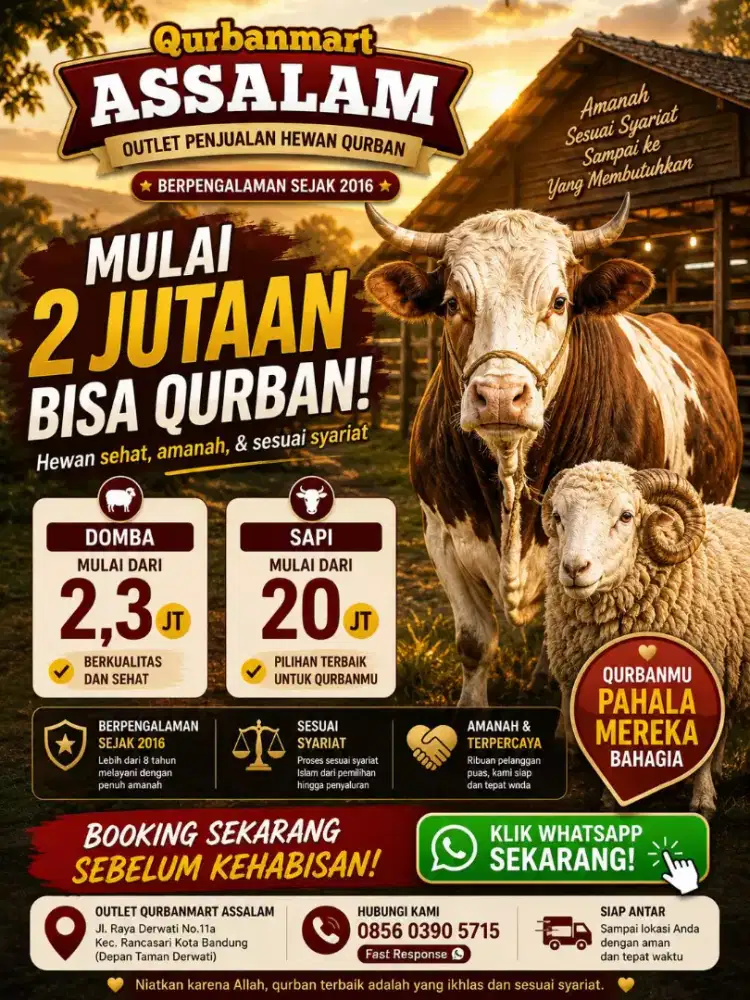 Jual Hewan Qurban Domba Bandung Murah
