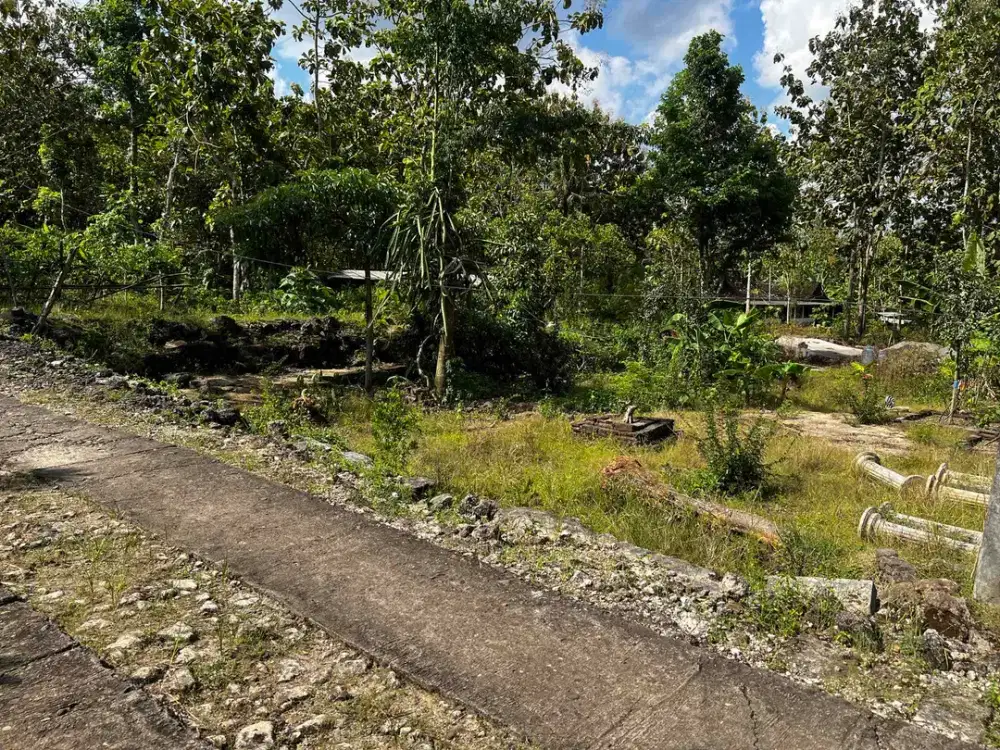 Jual tanah pekarangan shm murah di Bejiharjo Wonosari Gunungkidul