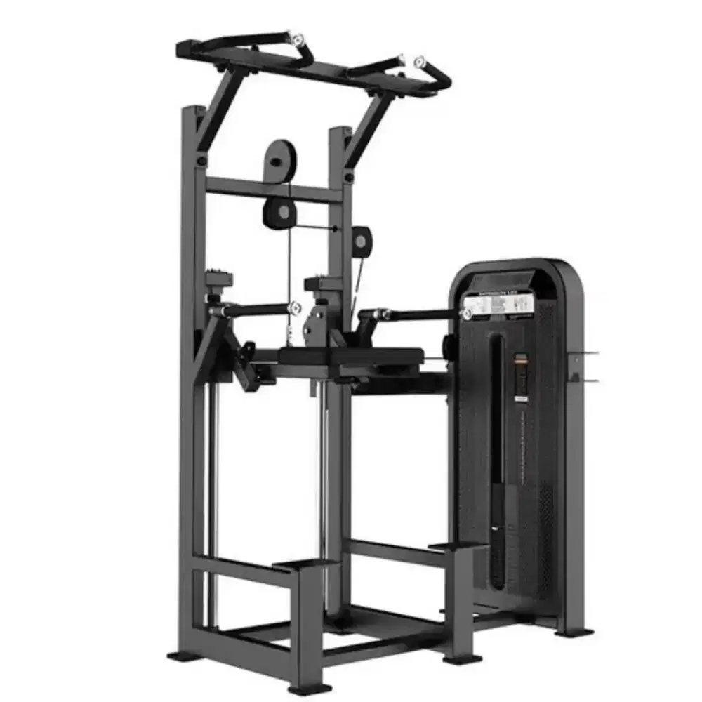 dip chin assist DHZ equipment komersial fitness import