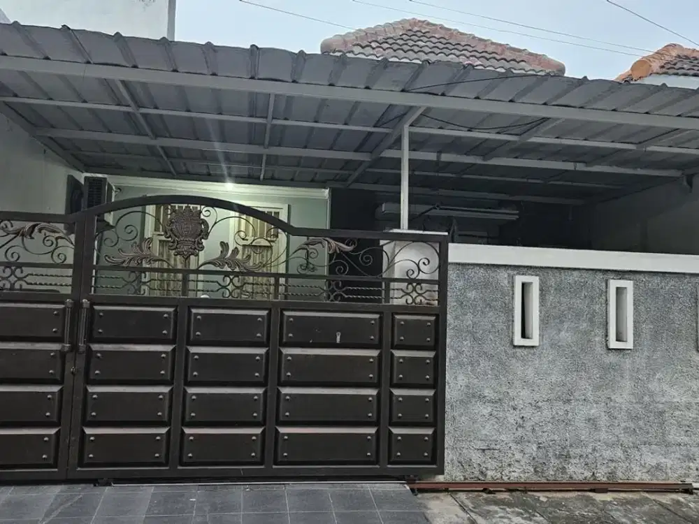 Murah Pogot Palm Beach Hadap : selatan