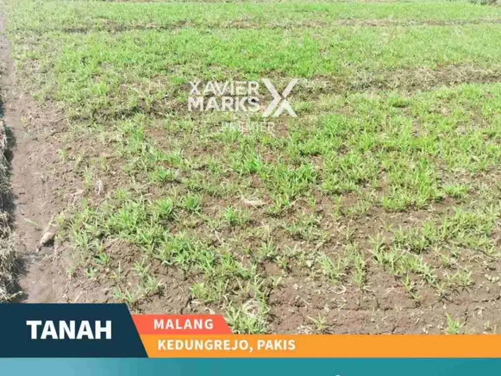 Dijual Lahan Strategis di Poros Jalan Raya Kedungrejo Kec. Pakis Kab  Malang