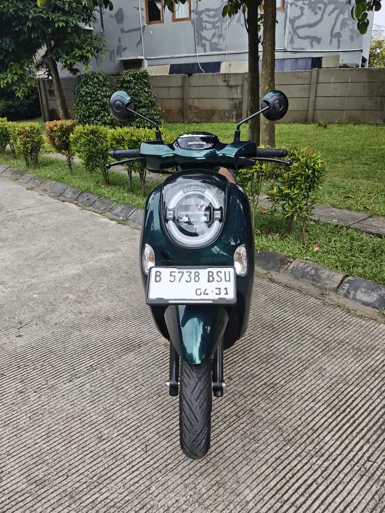 Honda scoopy 2026