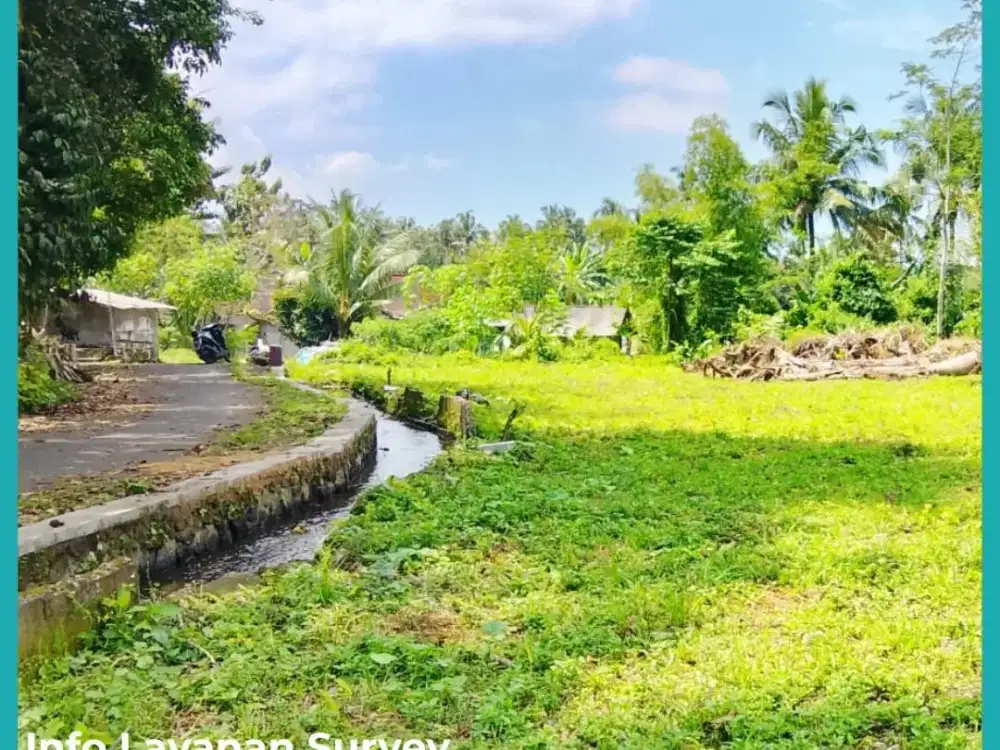 Tanah SHM Pekarangan Barat Jl Palagan km14 Yogyakarta