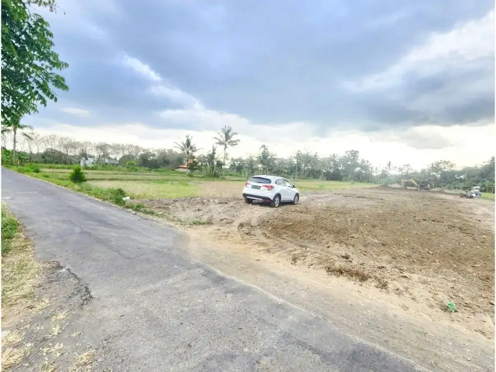Tanah Strategis Dijual Jogja Jl. Kembangan-Rejodani Dekat Pasar Umbul