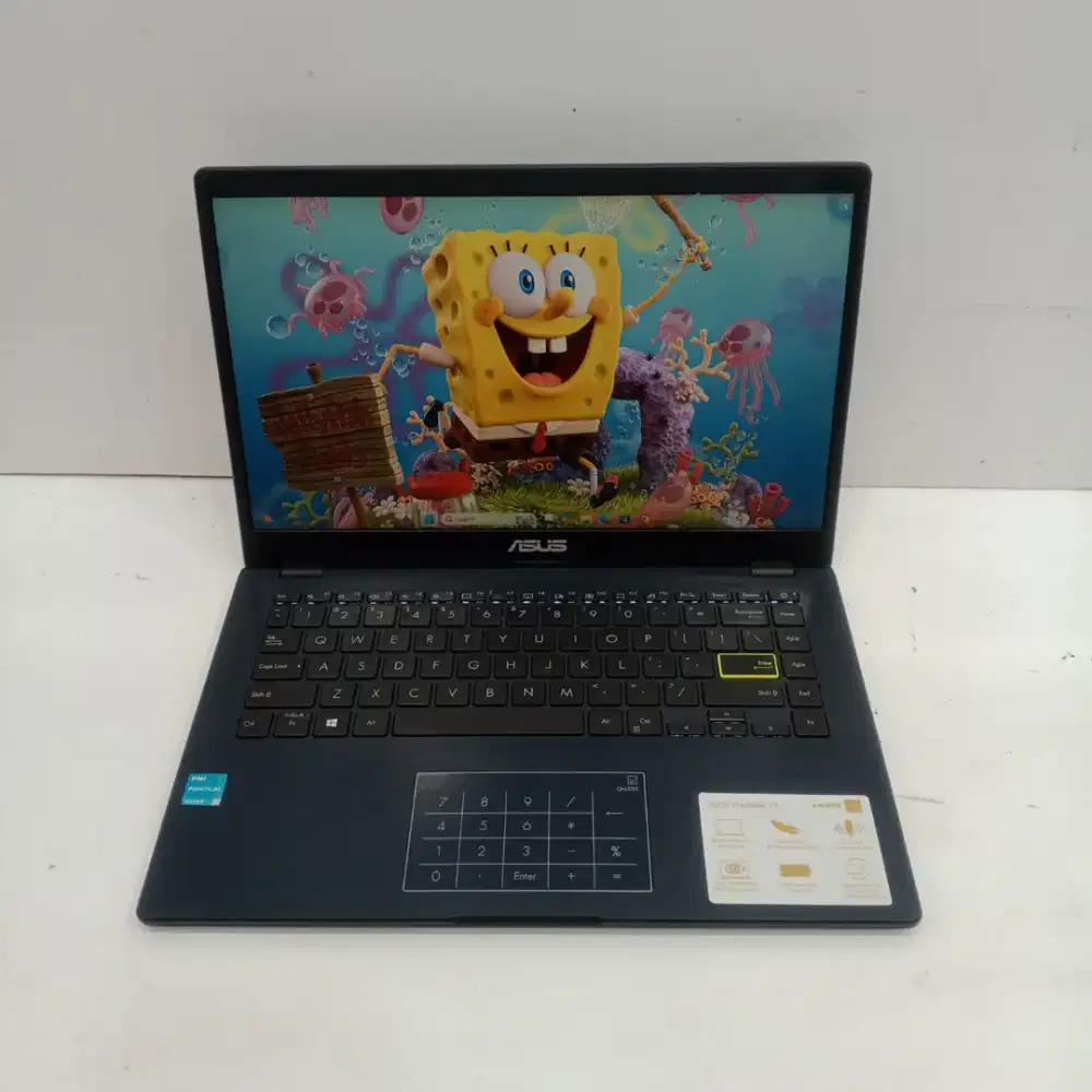 ASUS VivoBook E410KA Intel Pentium Silver N6000 RAM 4GB/SSD 256GB