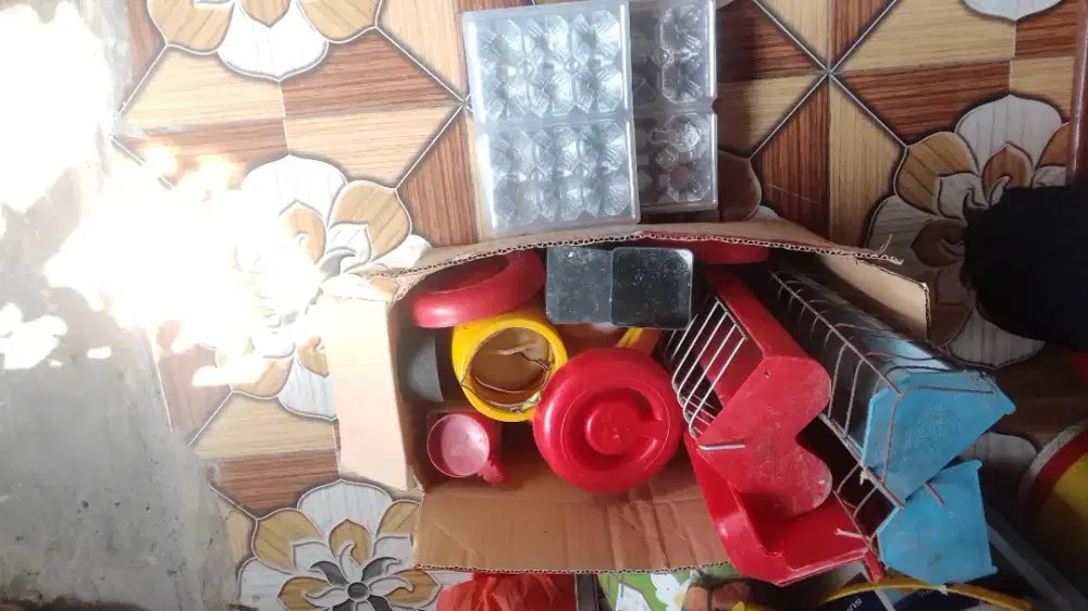 Alat makan dan minum ayam