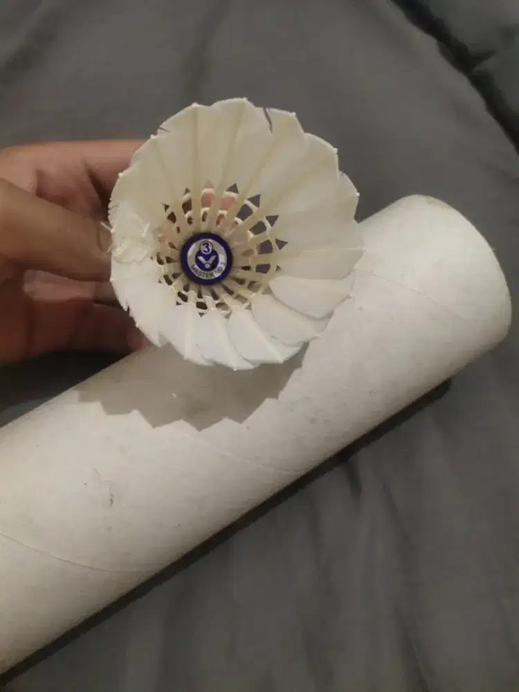 Shuttlecock victor