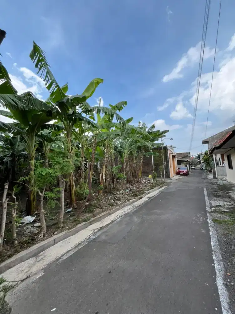 Tanah 294m Dekat Kampus UMS Aolo