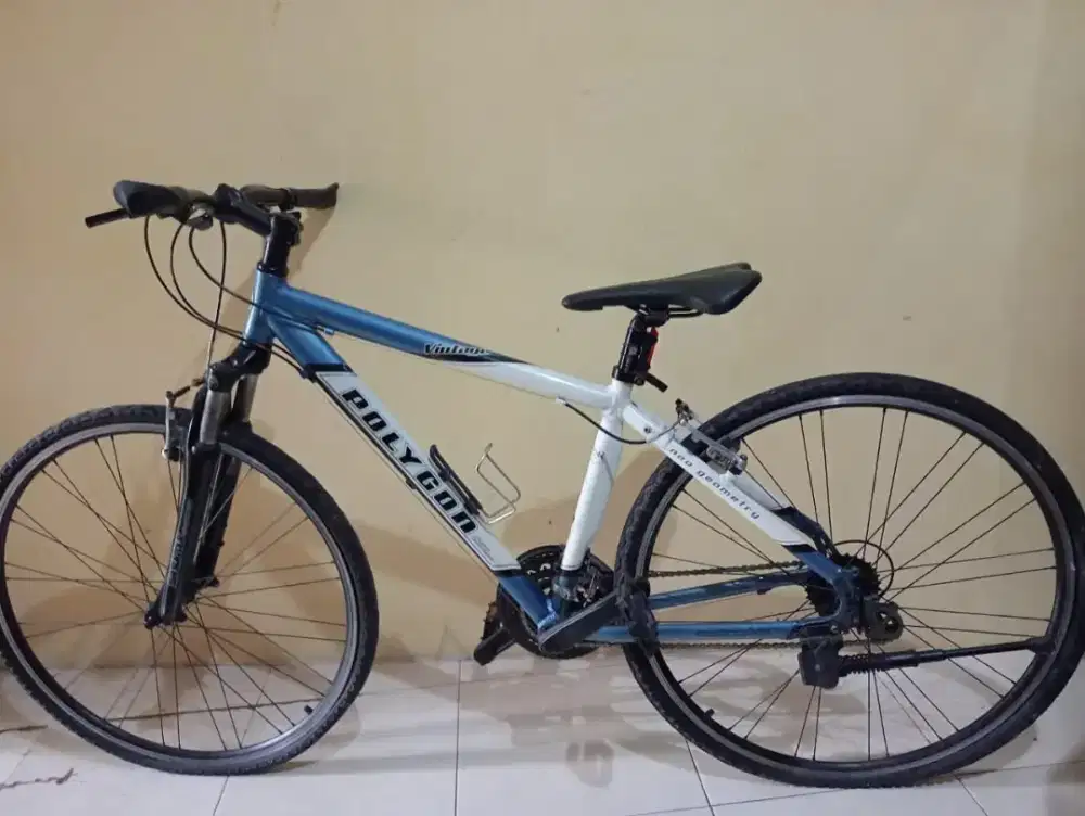 Sepeda Polygon vintage