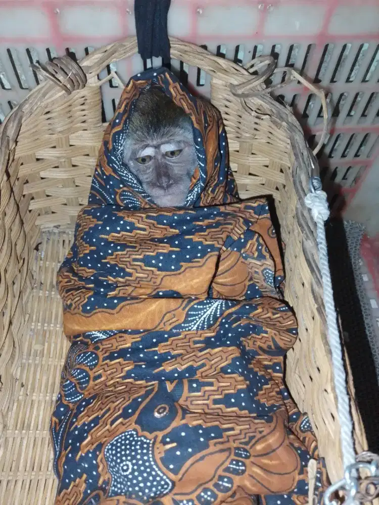 Info lowongan pekerjaan
