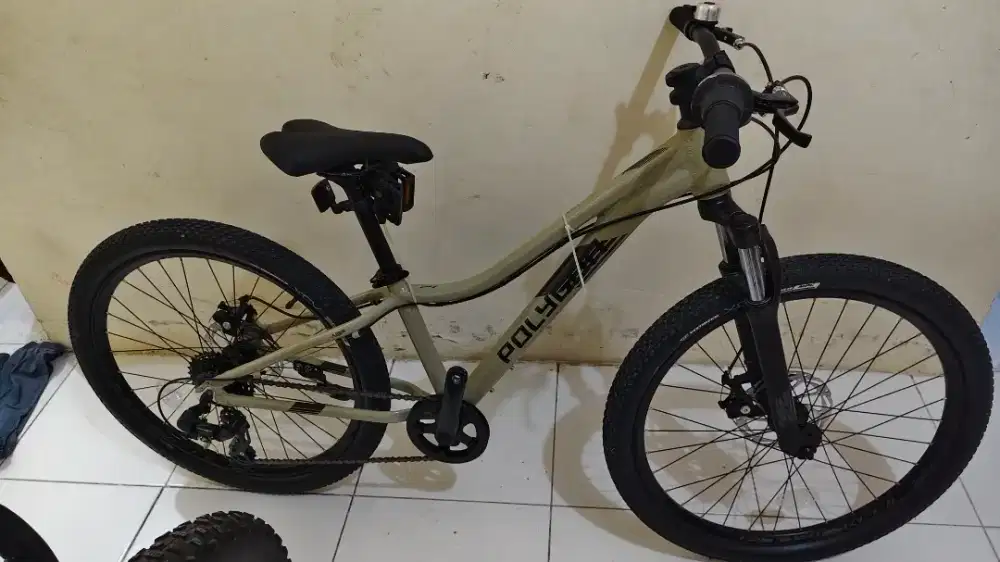 Polygon Relic 24 Baru
