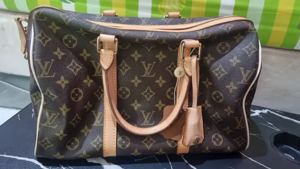 Louis Vuitton (LV) Bags