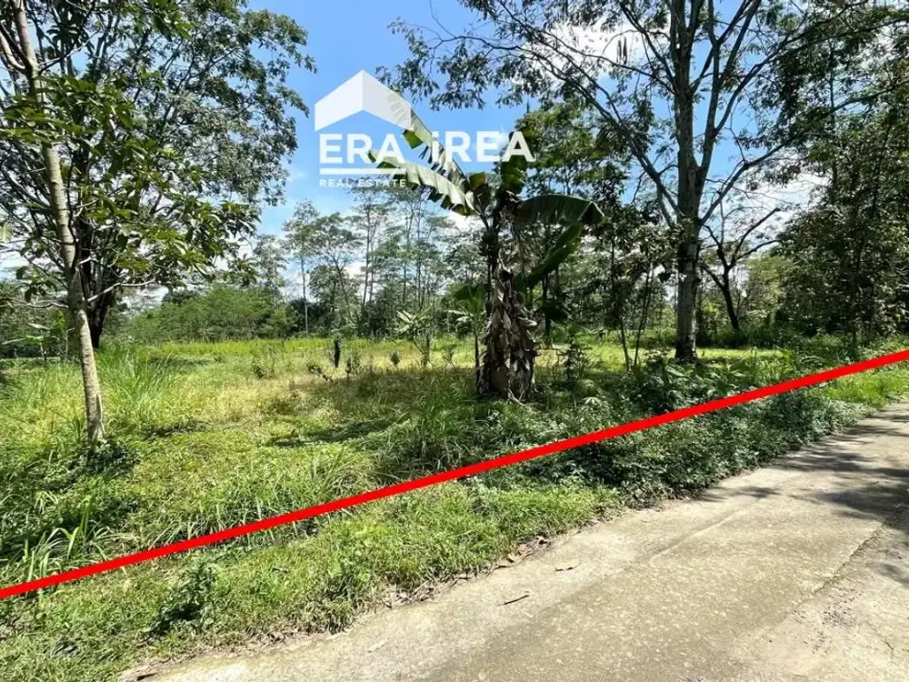 Tanah Dijual di Madu Boyolali Dekat Pasar Kebonluwak