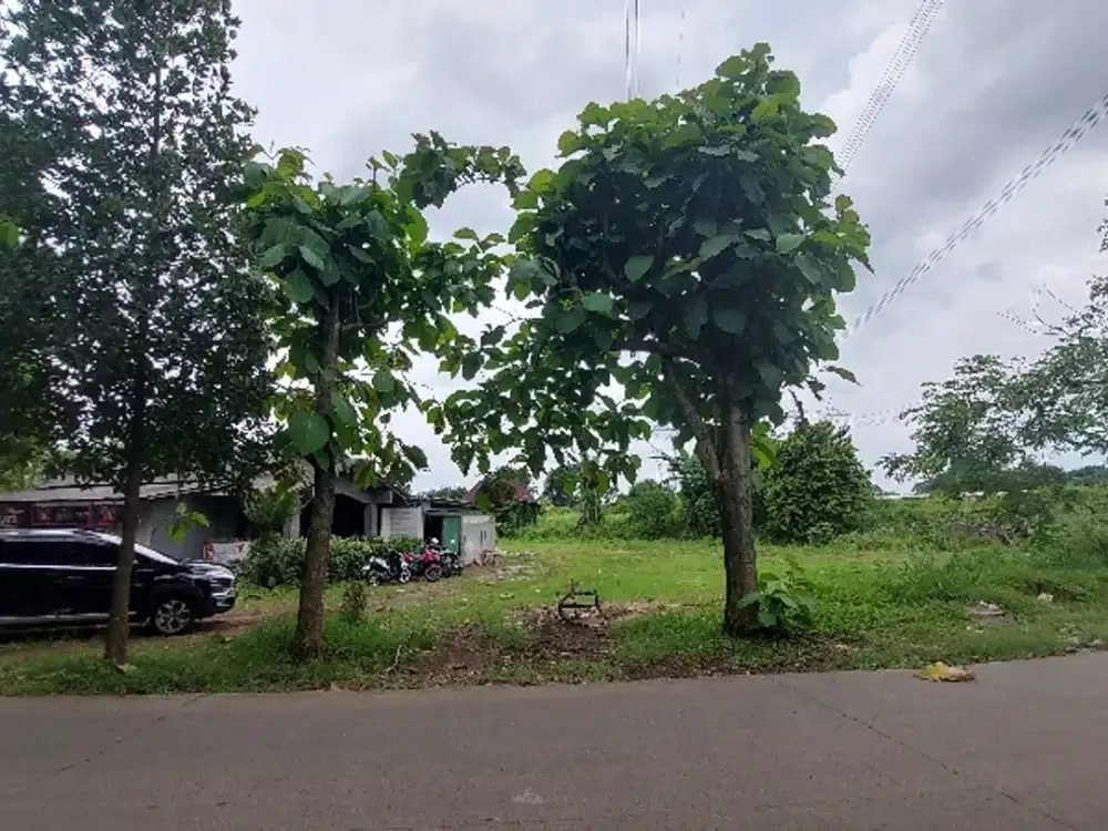 dijual tanah nempel BSD harga sedekah
