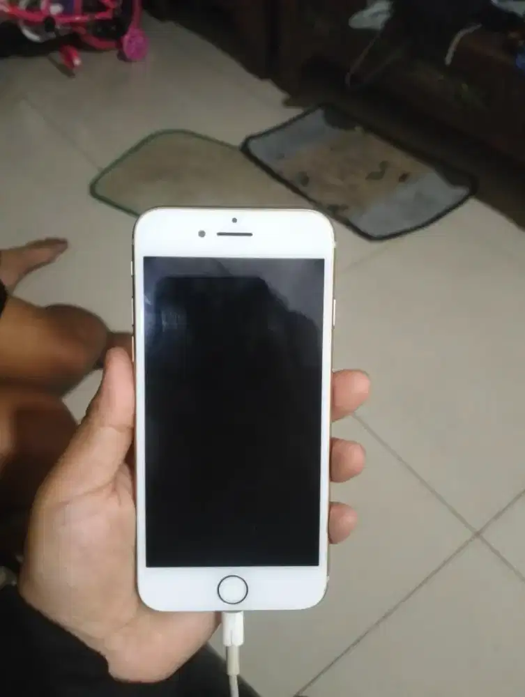 iPhone 8 256 GB