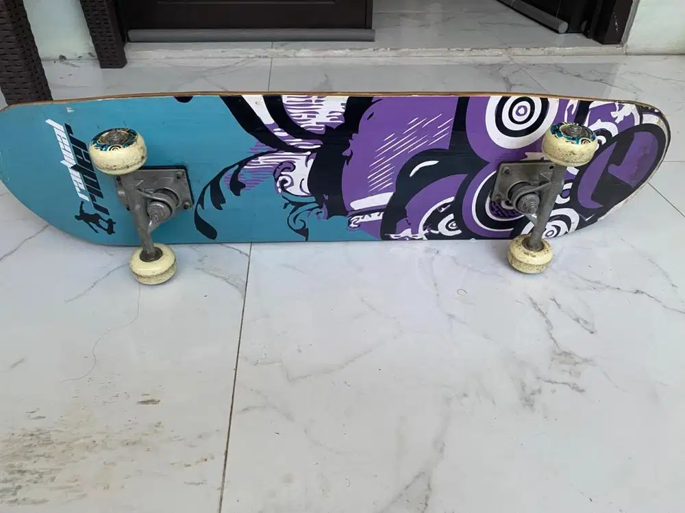 skateboard preloved