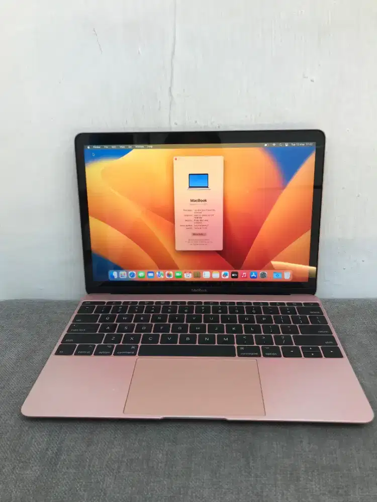 Macbook 12 Inc 2017 Ram 8 Internal 256 Gb