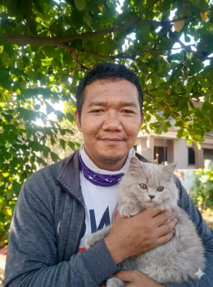 Saya mencari kerja sebagai sopir pribadi