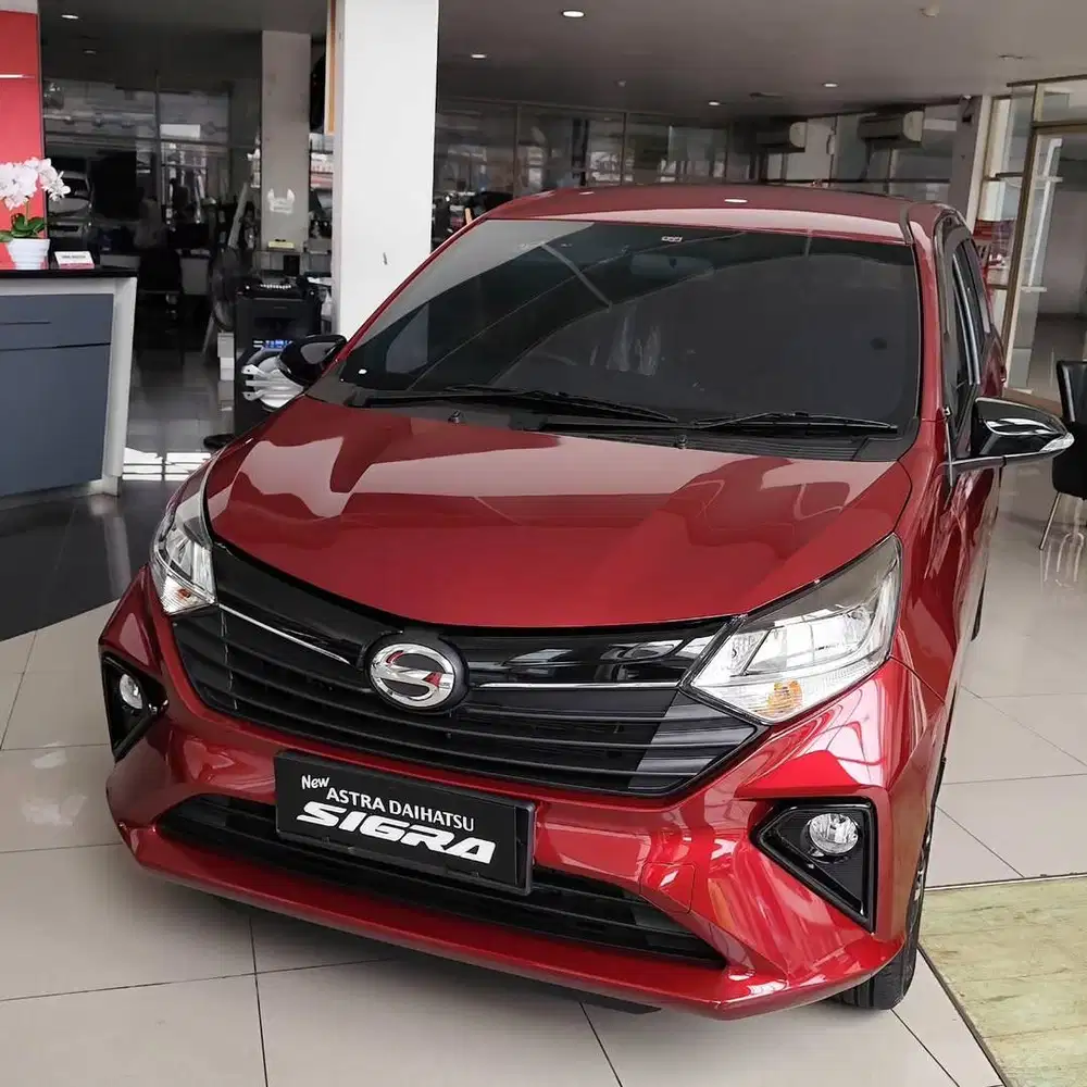 PROMO SIGRA DP 12JT AN