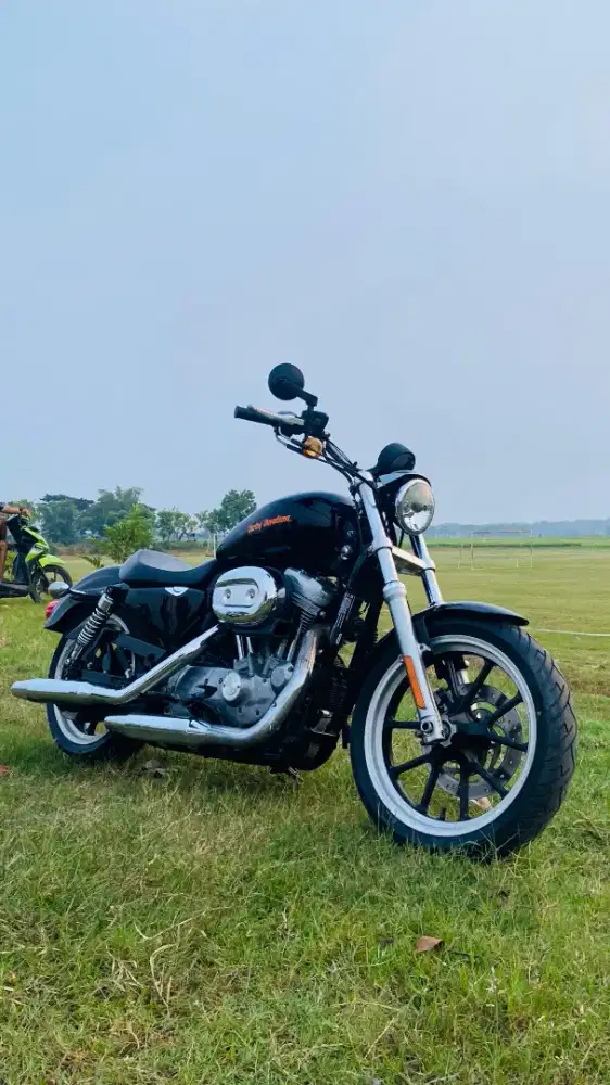 Sportster sporter superlow super low 883 2014