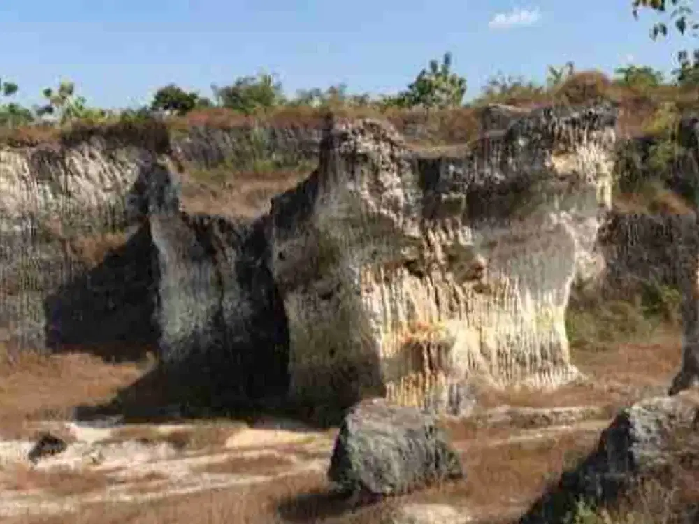 Dijual Galian C & Kebun Jati Luas