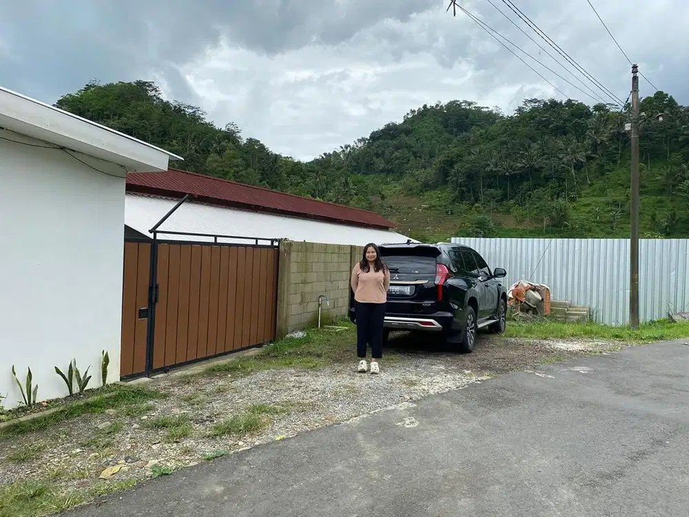 Dijual peternakan ayam petelur