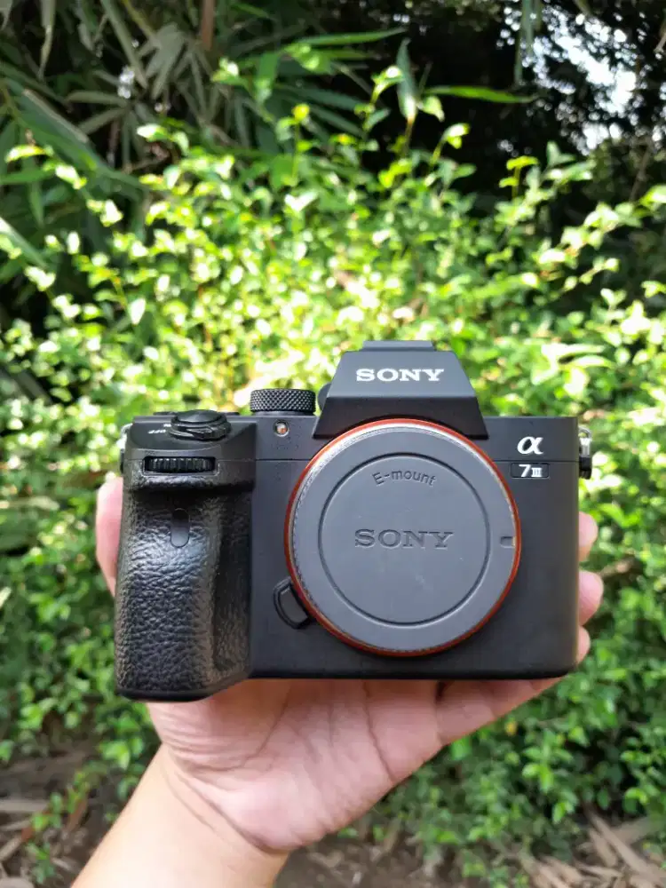 Bo sony a7 mark iii mulus
