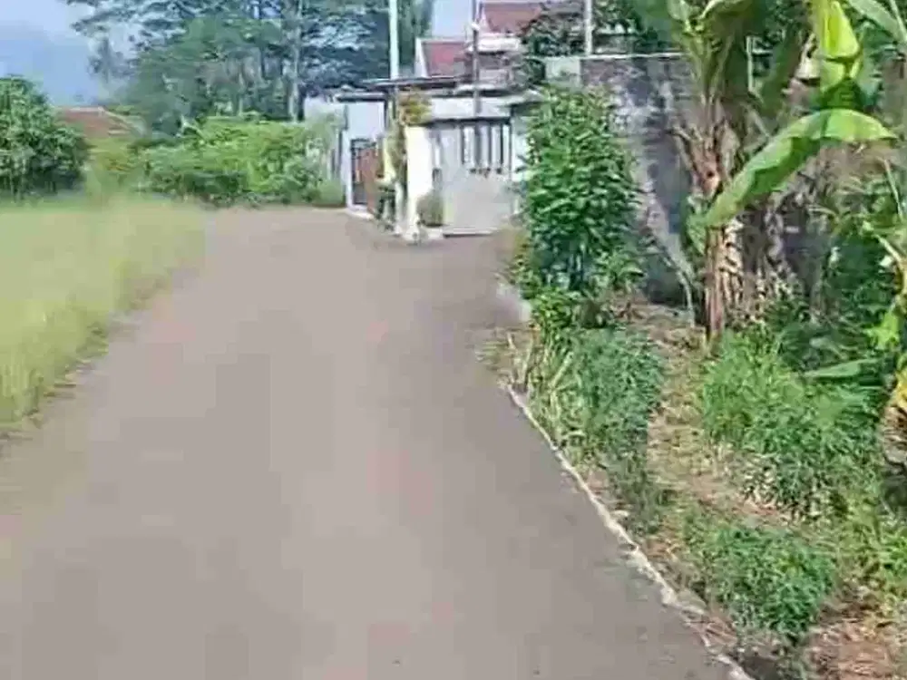 di jual tanah bagus bibir jalan pemandangan ke sawah