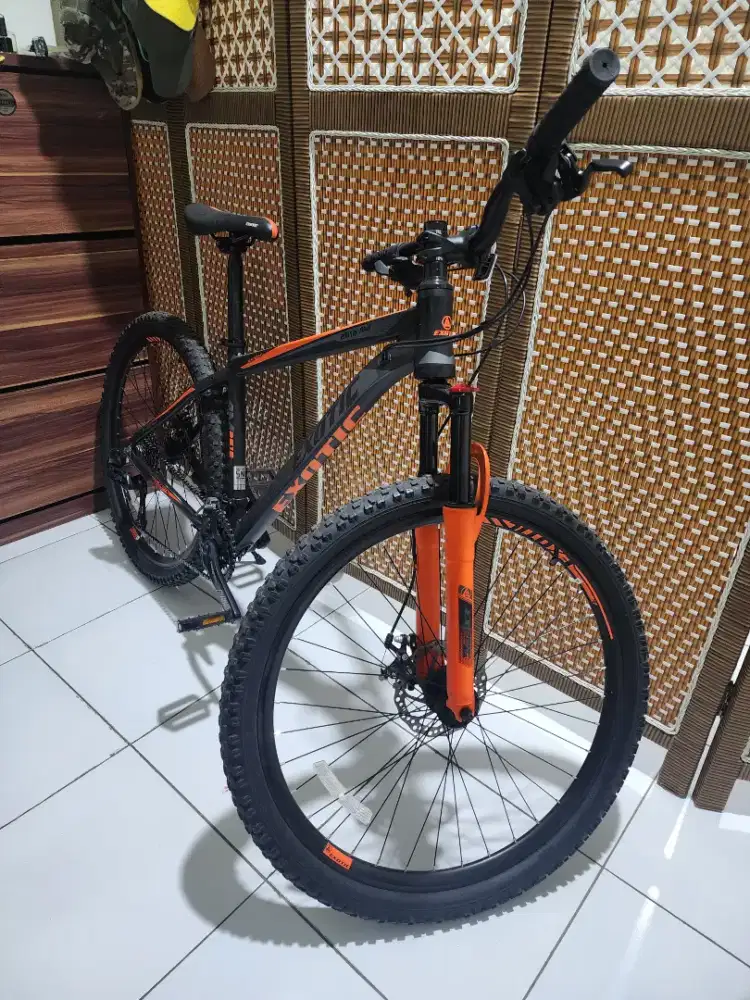 Sepeda exotic hitam