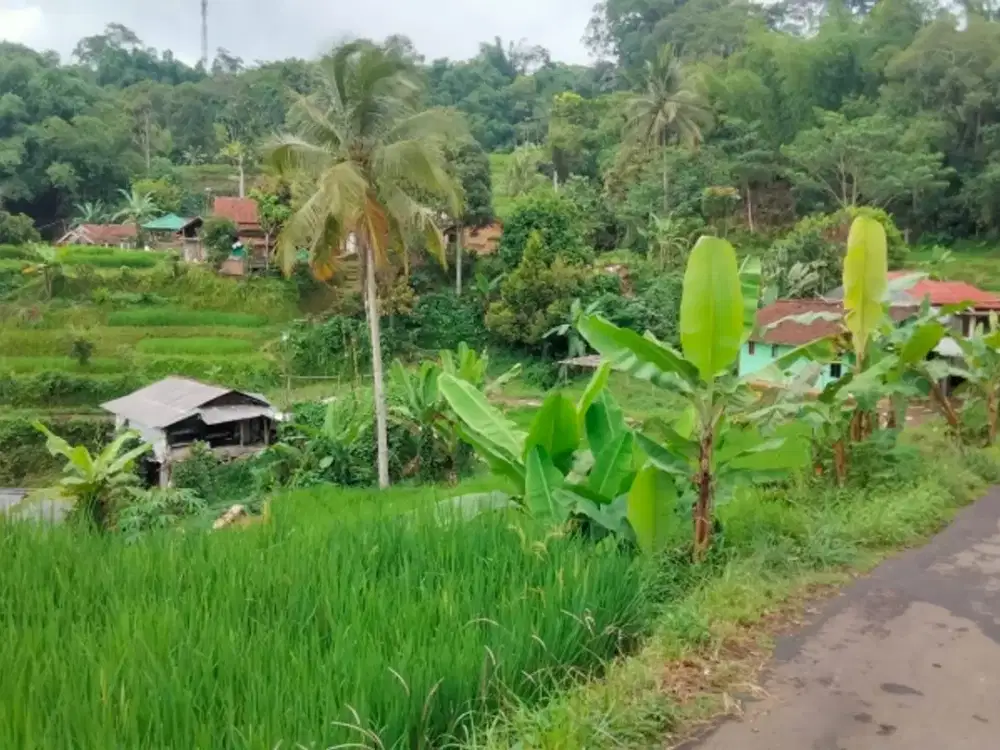 di jual sebidang tanah dan saung dan kolam nya BU