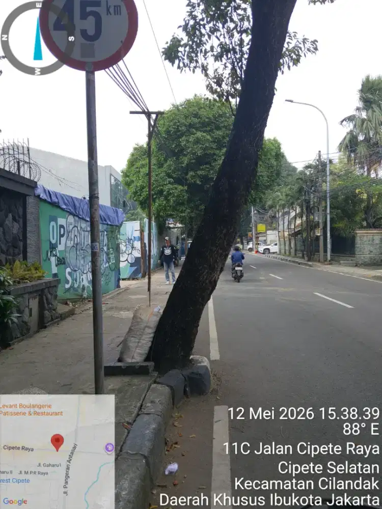 Dibutuhkan Art momong