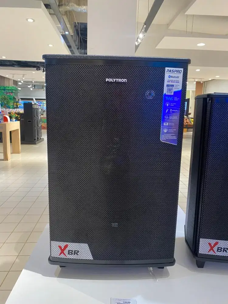 Speaker POLYTRON Trolley 100Watt + 2 Mic wireless