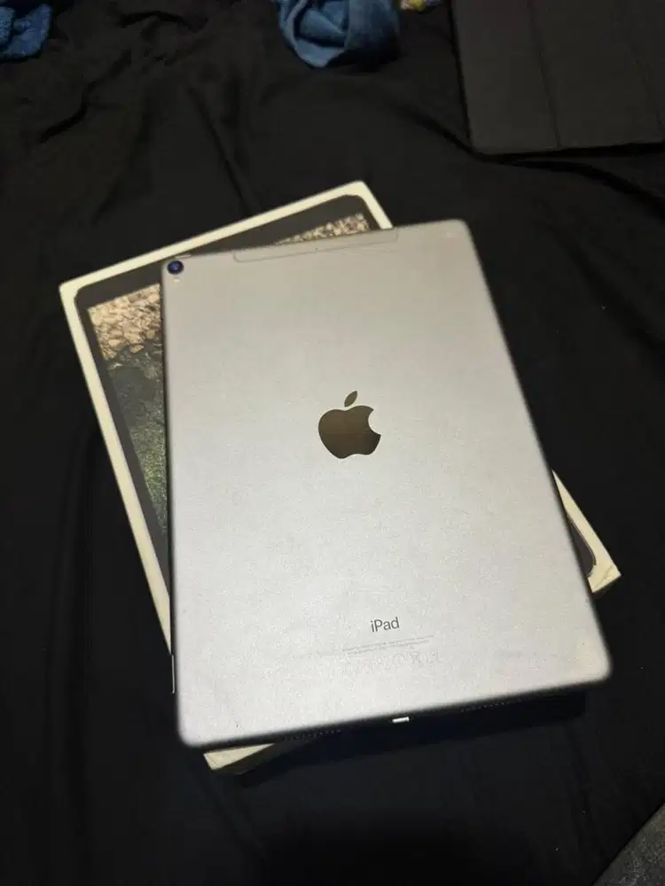 iPad Pro 10,5 Inch ( 2017 ) 256GB