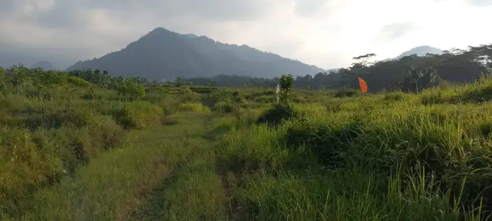 Di jual tanah strategis puncak 2 sukamakmur Bogor Timur