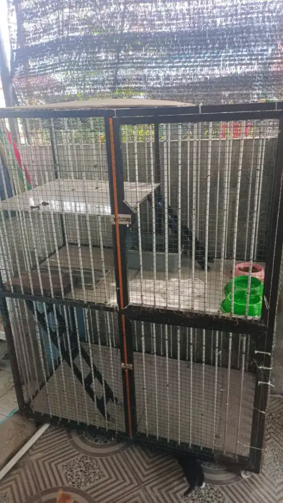 Bekas Kandang kucing