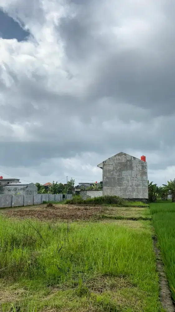 DIJUAL TANAH KAVLING MURAH AREA BADRAN BARU PAPAHAN TASIKMADU