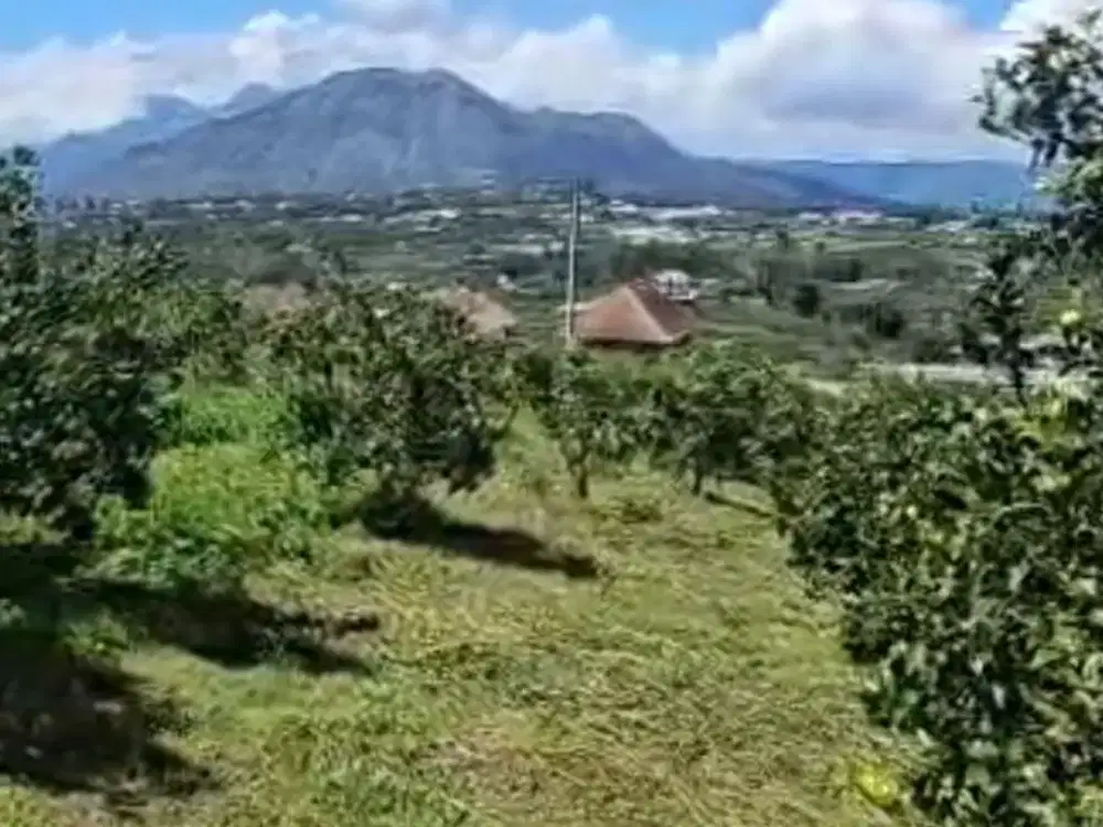 TANAH VIEW GUNUNG BATUR KINTAMANI BANGLI