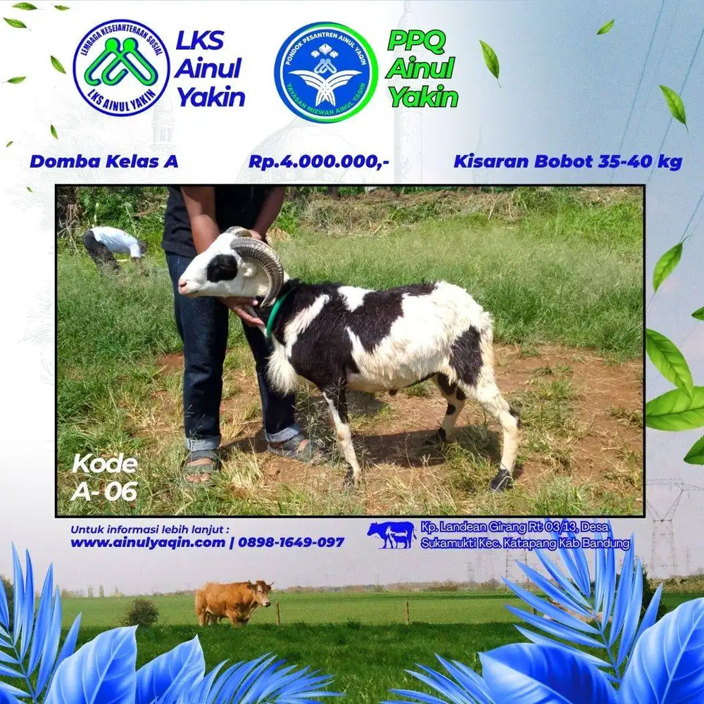 Jual Hewan Qurban Amanah untuk Idul Adha