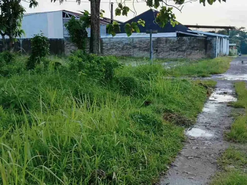 Dijual tanah keras siap bangun di jl Srigading 1 Sukajadi Talang Kelapa Banyuasin